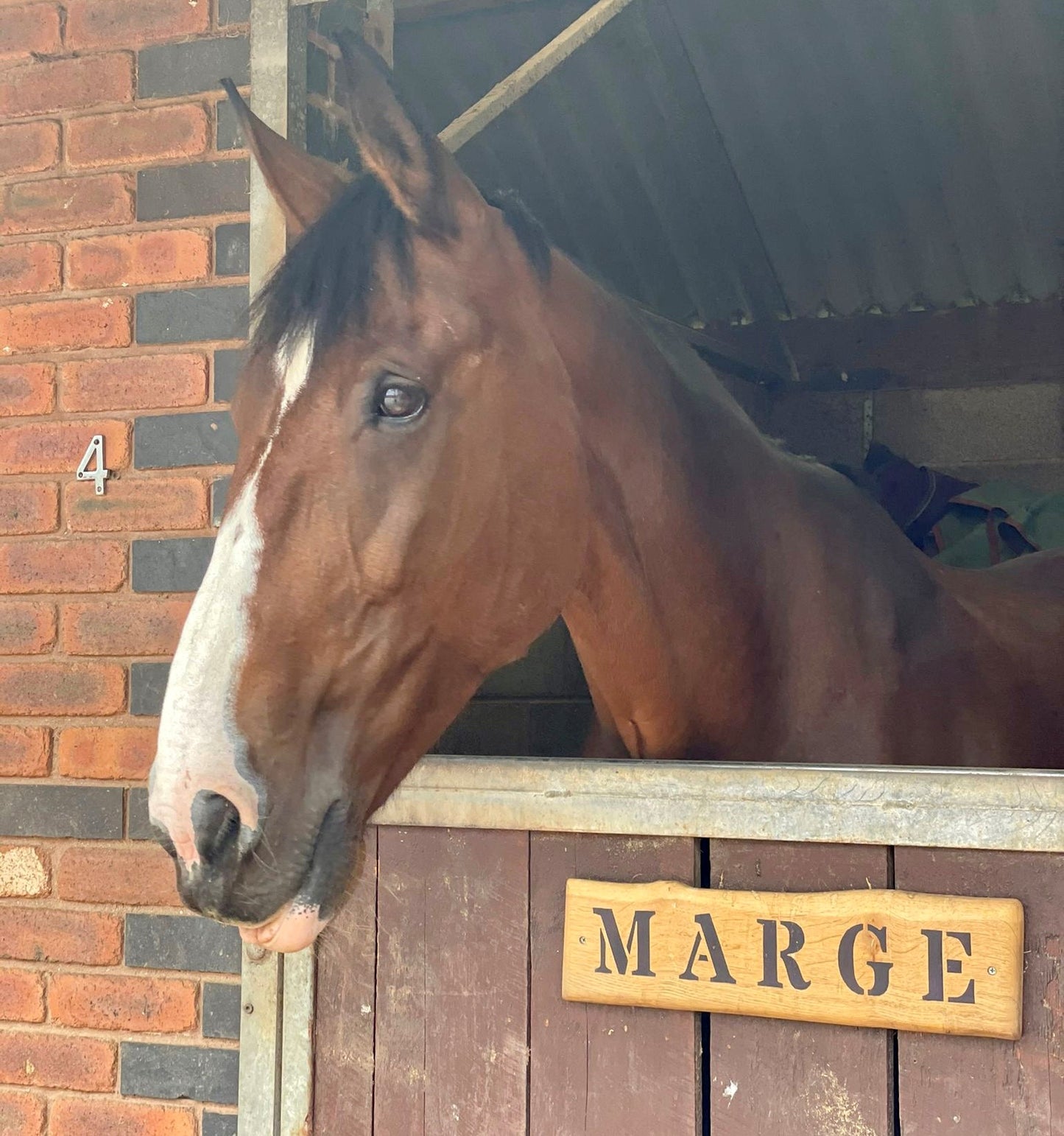 Personalised Horse Stable Signs